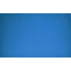 Коврик для дома Ridder CHIC IM BAD I Standard