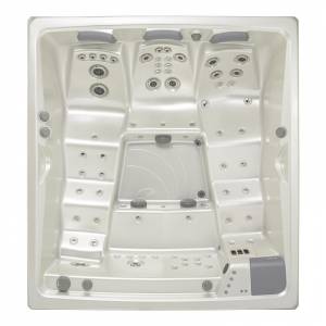 СПА бассейн USSPA Persea IN