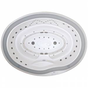 СПА бассейн профессиональный USSPA Arena